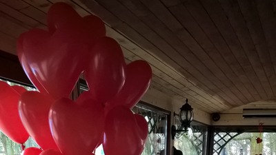 Dekoracje Balony - DeCoANI-M - Mława
